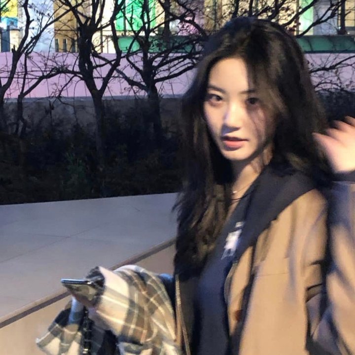 如果历史是一群喵第六季 封面